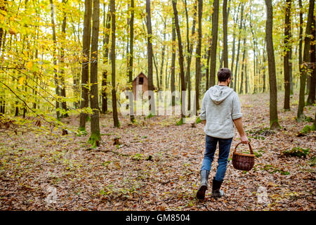 Young man with basket picking musroom in autumn forest Stock Photo