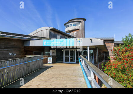 The Sloane Severn Trent observatory tower at the Wildfowl and Wetlands Trust Slimbridge Wetland Centre, Slimbridge, Gloustershire Stock Photo