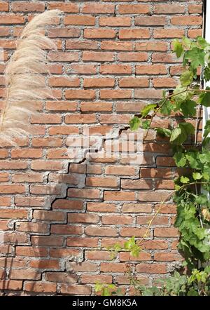 A building with a large crack Stock Photo