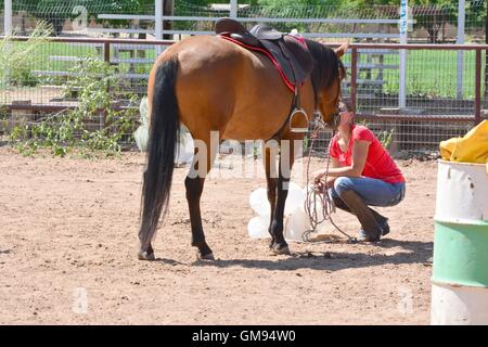 A horse gets a kiss from her owner after approaching a scary obstacle of milk jugs Stock Photo