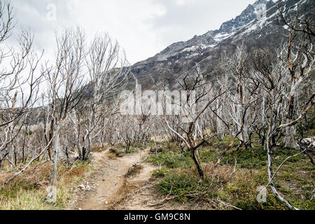 Patagonia Chile Expansive Landscape Stock Photo