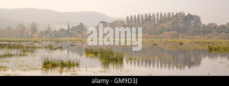 Muted color/colours on a misty spring morning Stock Photo