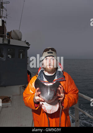 Research scientist holds a piece of the lower jaw from a newly hunted Minke Whale,  Hrafnreydur KO-100, Iceland Stock Photo