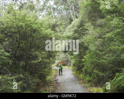 Australia, New South Wales, Katoomba, Young woman walking along empty road in forest Stock Photo