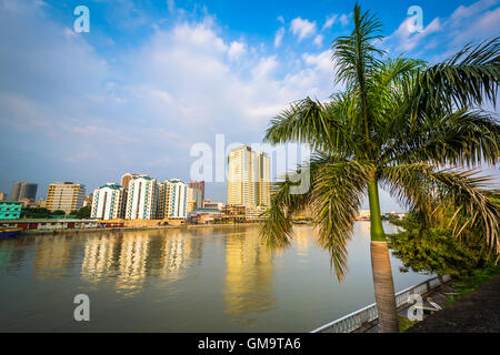 Palm tree and buildings along the Pasig River, seen from Fort Santiago, in Intramuros, Manila, The Philippines.
