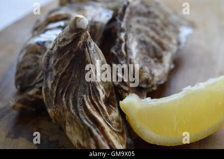 Oysters with Lemon on a Wooden Board Stock Photo