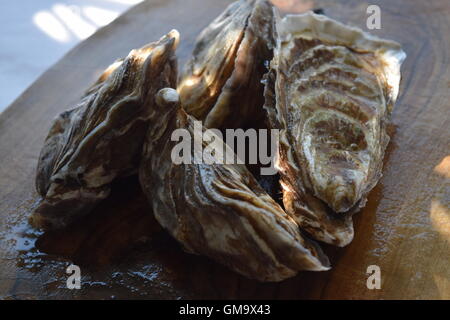 Fresh Oysters on a Wooden Plate Stock Photo