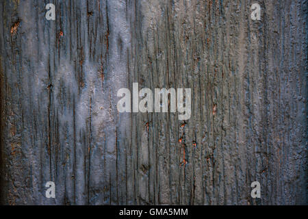 Old cracked wooden background of weathered distressed rustic wood with faded  blue paint Stock Photo