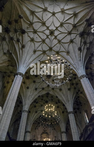 Interior of the Cathedral of Santa Maria Assunta in in Barbastro city Stock Photo