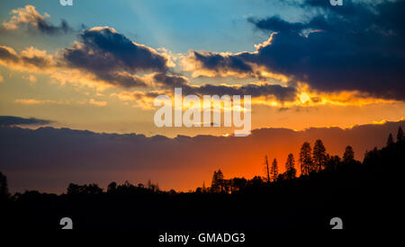 Dramatic Clouds tree silhouettes against sunset sky Stock Photo - Alamy