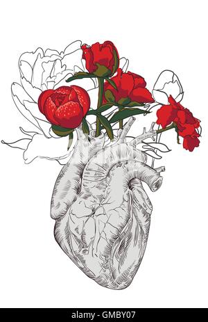 drawing Human heart with flowers Stock Vector