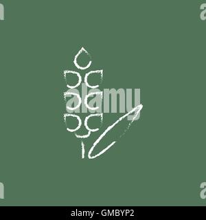 Wheat icon drawn in chalk. Stock Vector