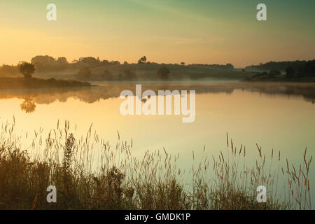 Ryat Linn Reservoir, Dams to Darnley Country Park, Barrhead, East ...