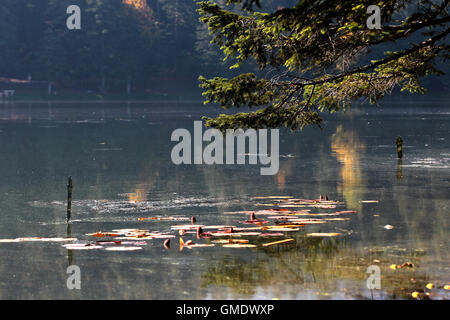 Turkey Bolu Gölcük Lake Stock Photo - Alamy