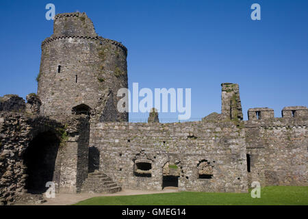 Tower and western walls in Kidwelly castle Stock Photo