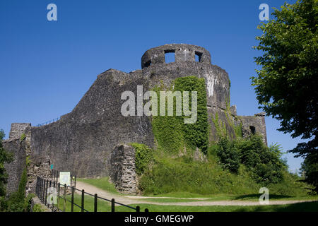 Dinefwr castle from South East Stock Photo