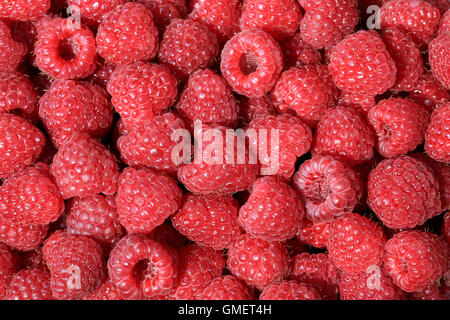 Fresh red ripe raspberries Stock Photo