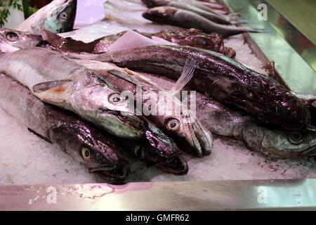 fish market in a southern europe cities Stock Photo