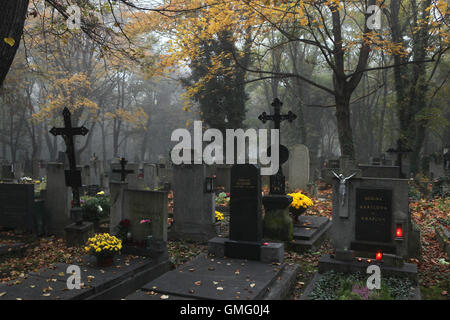 Lighting candles placed on the graves on the All Souls' Day at the Olsany Cemetery in Prague, Czech Republic, on November 2, 2014. Stock Photo