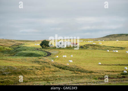 Hlidarendi countryside - renown from the Icelandic saga of Njal Stock Photo