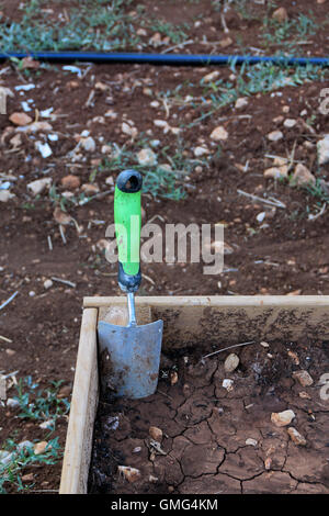 Wooden garden planter trough and small trowel shovel in soil. Gardening tool. Stock Photo
