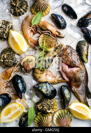 Fresh seafood with herbs and lemon on ice. Prawns, fish, mussels, scallops over steel metal tray Stock Photo