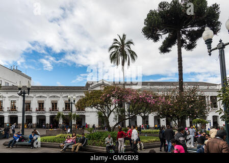 Independence Square (Plaza de la Independencia). Quito, Ecuador. Stock Photo