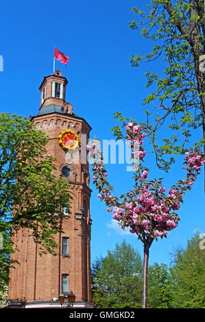 Old fire tower with clock (1911) and sakura tree in the spring, Vinnytsia, Ukraine Stock Photo