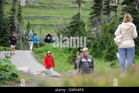 August 09, 2016 - Glacier National Park, Montana, United States - Hikers are seen at Glacier National Park in Montana. Stock Photo