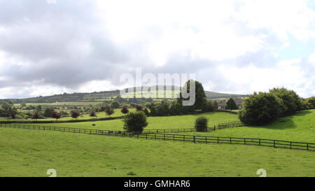 Green Fields in Kinnitty, near Birr Town, County Offaly, Ireland Stock Photo