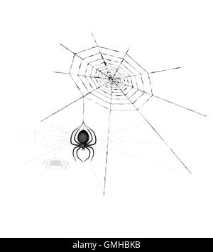 spider and cobweb Stock Vector