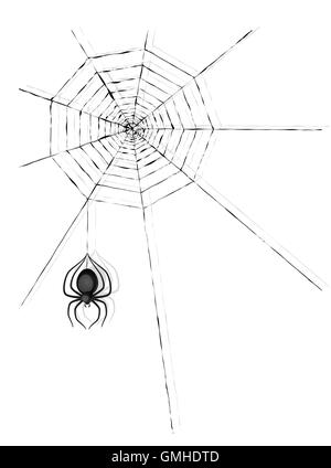 spider and cobweb Stock Vector