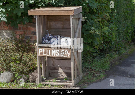 Farm Wrapped plums in weighed bags. and silver roadside wooden honesty box, for 50p a bag in Chorley, Lancashire, UK Stock Photo