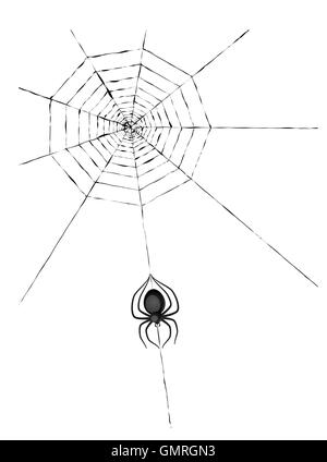 spider and cobweb Stock Vector