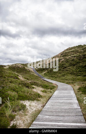 Wooden footpath through dunes Stock Photo