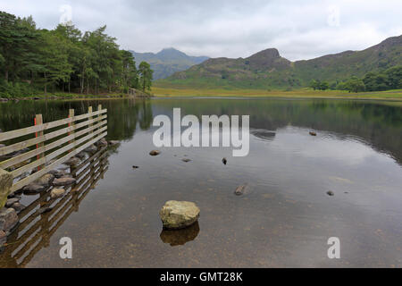 Morning mist over Blea Tarn and distant Langdale Pikes, Langdale, Cumbria, Lake District National Park, England, UK. Stock Photo