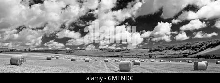 Hay bales on the Long Furlong Stock Photo