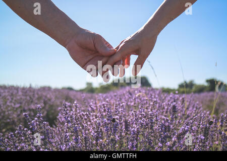 Asian Couple holding hands in Lavender Field.