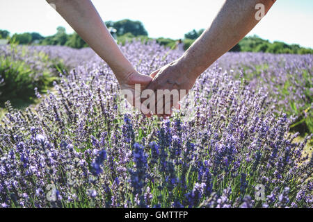 Asian Couple holding hands at Lavender Field, UK