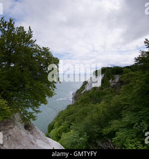 The Koenigsstuhl, Kings Chair, is the best-known chalk cliff on the Stubbenkammer in the Jasmund National Park on the Baltic Sea Stock Photo