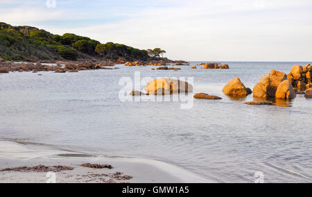 Orange lichen covered rock on the scenic Indian Ocean coast line with trees at dusk in Bunker Bay, Western Australia. Stock Photo