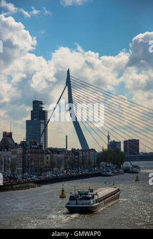 famous erasmusbridge or zwaan over the maas river in rotterdam holland Stock Photo