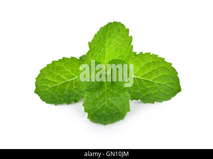 Fresh raw mint leaves isolated on white background Stock Photo