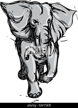Hand drawn front view elephant with colored ornament vector ...