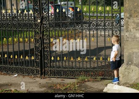 Young boy watching the traffic through an iron gate in South Wales GB UK 2015 Stock Photo