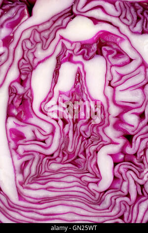 Cut face of red cabbage sliced in half as abstract background texture Stock Photo