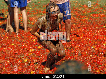 Kiev, Ukraine. 27th Aug, 2016. Youth throws tomatoes at each other, as they take a part at ''Tomatina'' festival, in Kiev, Ukraine, on 27 August, 2016. Credit:  Serg Glovny/ZUMA Wire/Alamy Live News Stock Photo