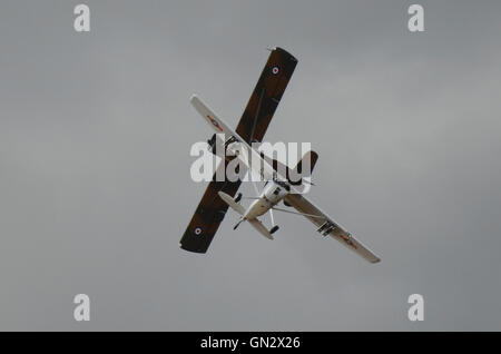 A Cessna Bird Dog and Auster AOP planes breaking at an airshow Stock Photo