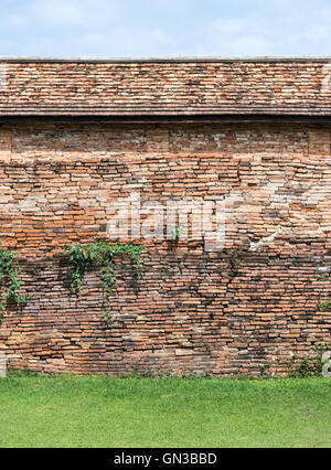 Old brick wall with plant of the large temple in Thailand.(Public area not required Property Release) Stock Photo