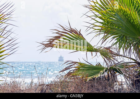Sunny beach day, in summer season. Looking at from the shadow of palm trees. Summer background with a boat at the horizon. Stock Photo